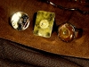 nana-hayne-colecao-steampunk-collection-c.jpg