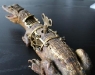 conselho-steampunk-12.jpg