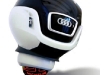 audi-snook1.jpg