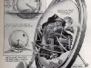 mono-wheel-2.jpg