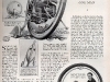 xlg_monowheel_tank.jpg